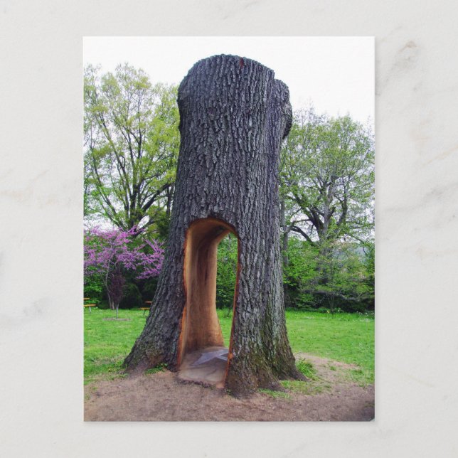 Postkarte wiederverwenden (Vorderseite)