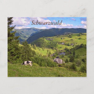 Postkarte: Wiesen und Kuh mit Panoramaait Postkarte