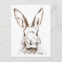 Postkarte - Wilder Hase