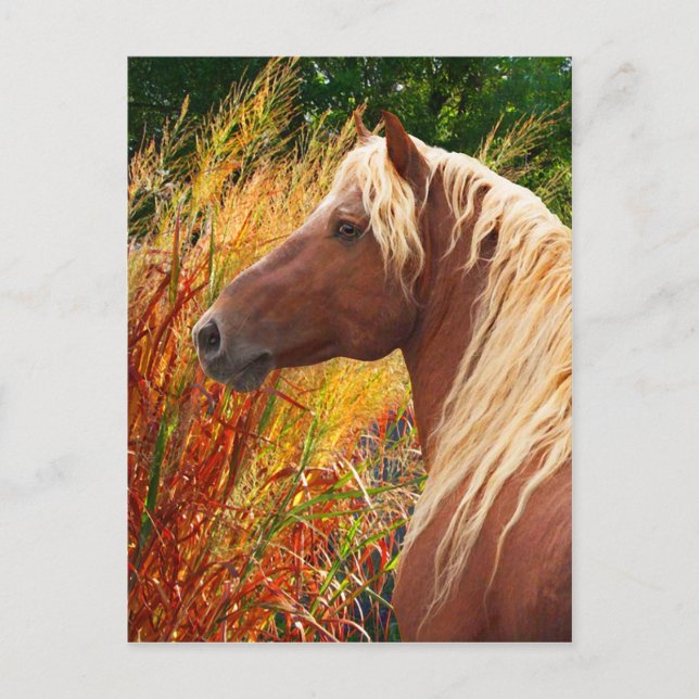 Postkarte "Wildfire" (Vorderseite)