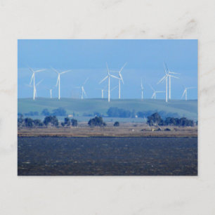 Postkarte - Windpark im Delta