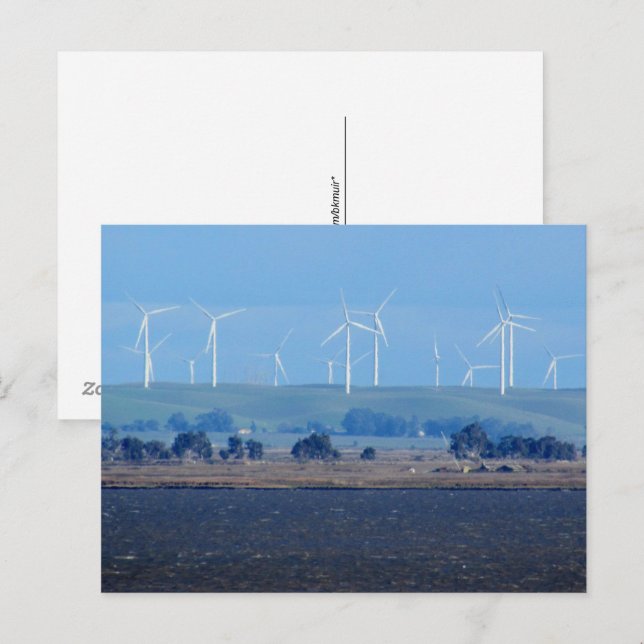 Postkarte - Windpark im Delta (Vorne/Hinten)