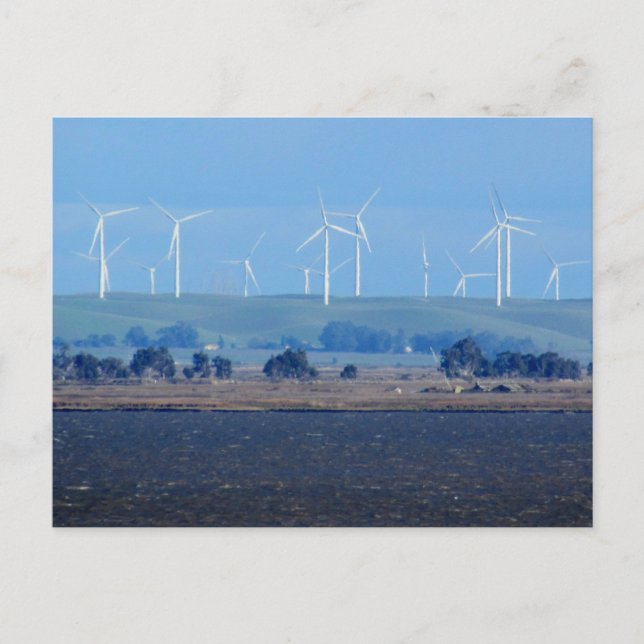 Postkarte - Windpark im Delta (Vorderseite)