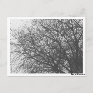 Postkarte - Winterbaum