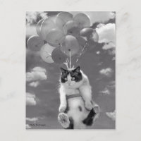 Postkarte: Witzige Katze, die mit Balloons fliegt