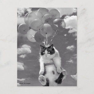 Postkarte: Witzige Katze, die mit Balloons fliegt Postkarte