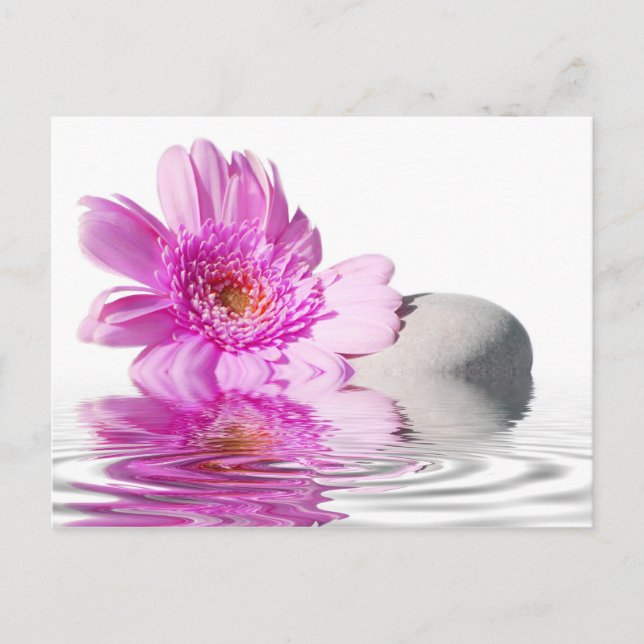 Postkarte Zénitude (Vorderseite)