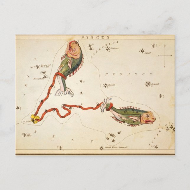 Postkarte "Zodiac Sign: Pisces" (Vorderseite)