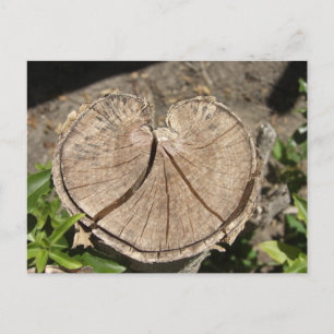 Postkarte zum Split Herz