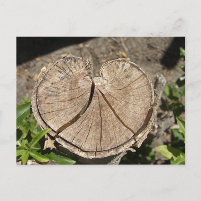 Postkarte zum Split Herz (Vorderseite)