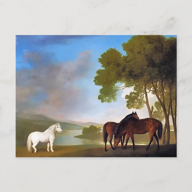 Postkarte: Zwei Bucht-Mare und ein grauer Pony Postkarte (Vorderseite)