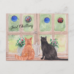 POSTKARTE Zwei Katzen am Fenster Stille Blumen