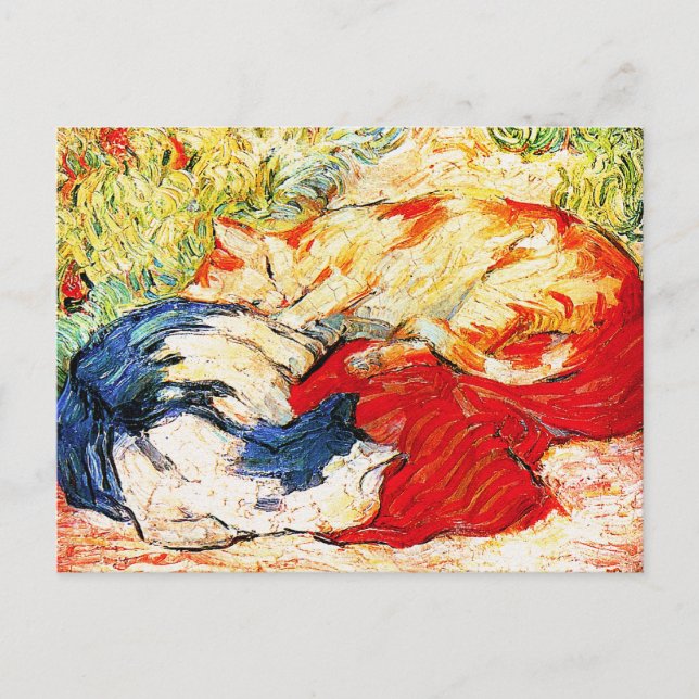 Postkarte: zwei Katzen Postkarte (Vorderseite)