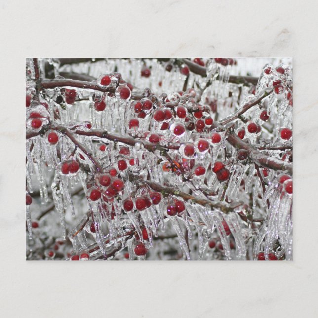 Postkarten (Vorderseite)