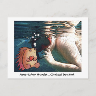 POSTKARTEN AUS DER SCHULE!