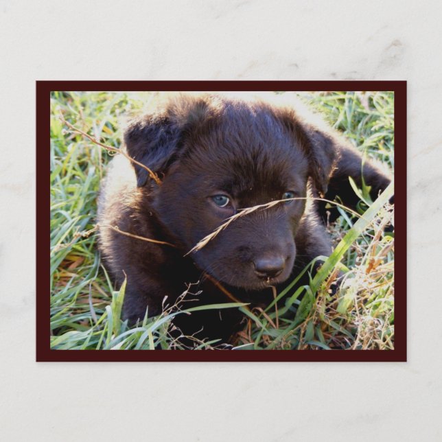 Postkarten ausblenden und suchen