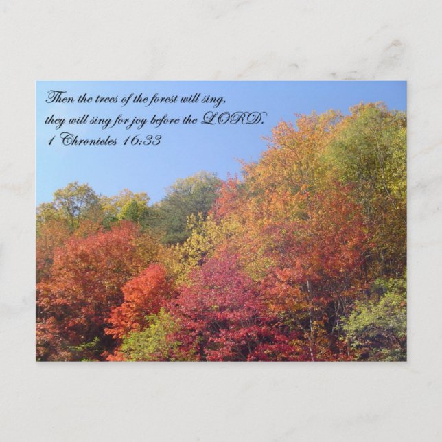 Postkarten: Bäume singen Postkarte (Vorderseite)