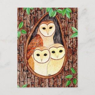 Postkarten Eule