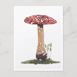Postkarten - Fliegenpilz Aquarell studieren