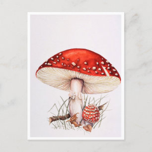 Postkarten - Fliegenpilz Illustration