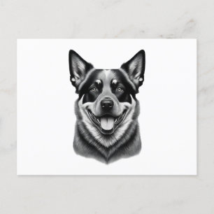 Postkarten für australische Rinderhunde, Charming,
