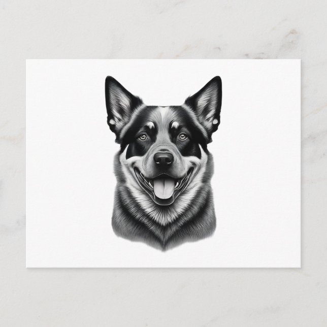 Postkarten für australische Rinderhunde, Charming, (Vorderseite)