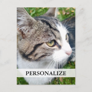 Postkarten für benutzerdefinierte Foto   Bild hier