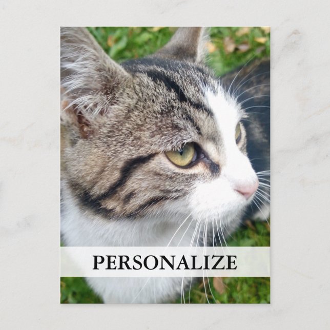 Postkarten für benutzerdefinierte Foto | Bild hier (Vorderseite)