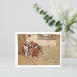 Postkarten für das weiße Ohr und Peter