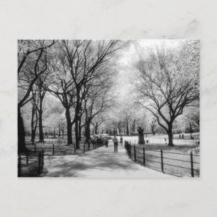 Postkarten für den Central Park