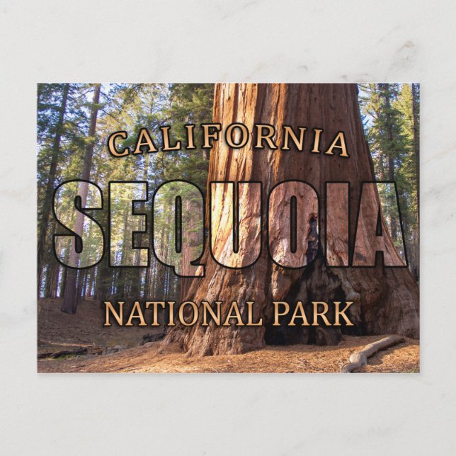Postkarten für den Sequoia Nationalpark (Vorderseite)