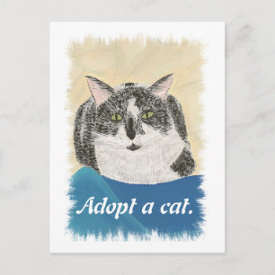 Postkarten für die Werbeaktion einer Katze-Adoptio
