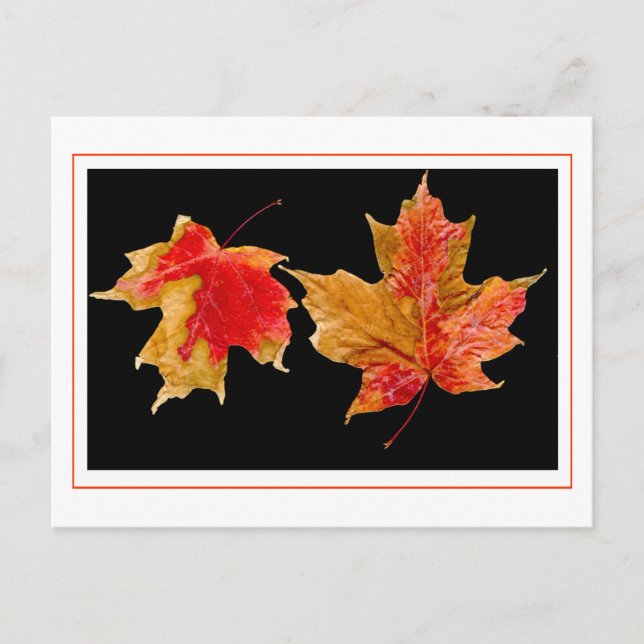 Postkarten für Herbstlaube (Vorderseite)