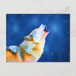 Postkarten für Mitternacht