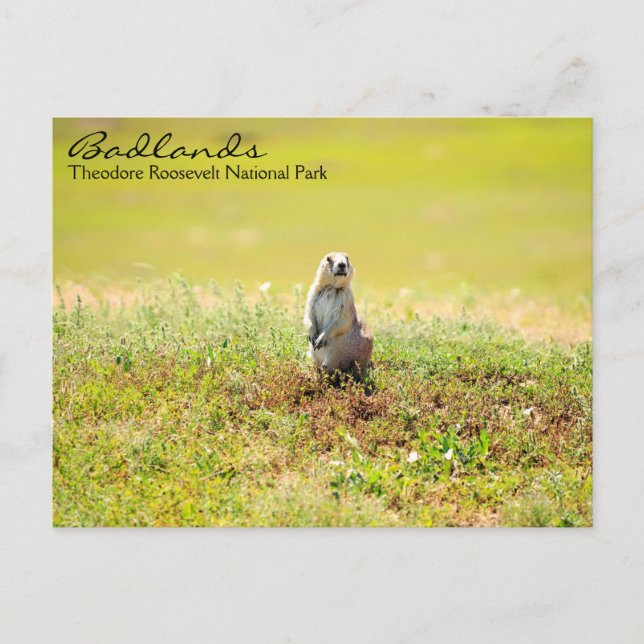 Postkarten für Norddakota (Vorderseite)