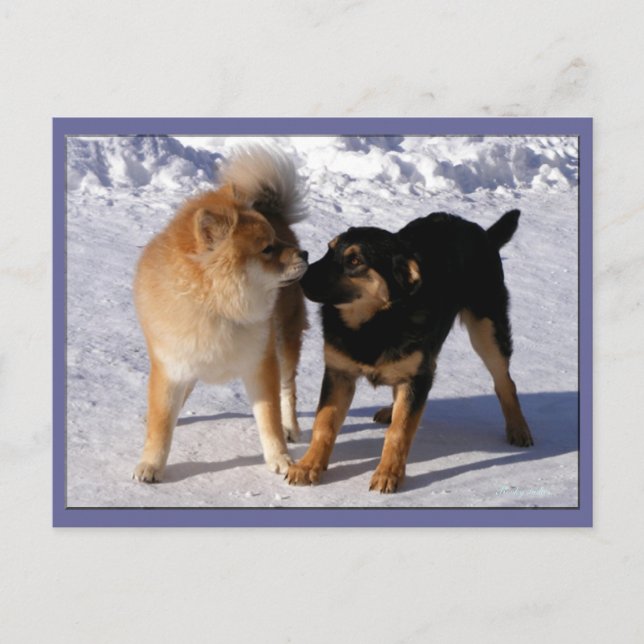 Postkarten für Puppy-Play-Karten (Vorderseite)