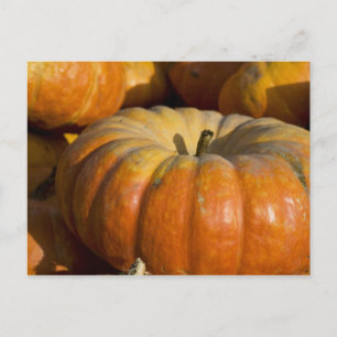 Postkarten: Great Pumpkin Postkarte