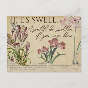 Postkarten im Vintage-Stil mit Kolibris und dem Sp