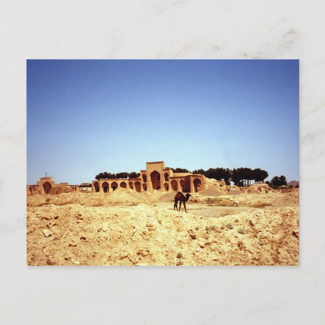 Postkarten-Kamele auf der alten Seidenstraße Khora Postkarte (Vorderseite)