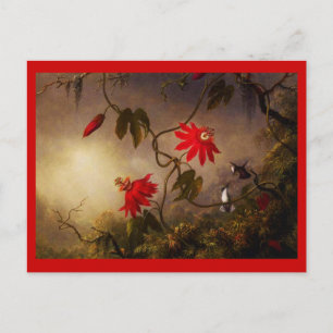 Postkarten-Klassiker/Retro-Martin Johnson Heade 21 Postkarte