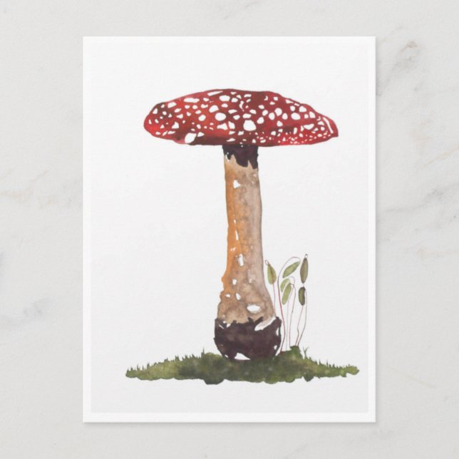 Postkarten - Studie Fly Agaric Mushroom Watercolor (Vorderseite)
