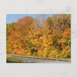 Postkarten: Weg zur Freude Postkarte