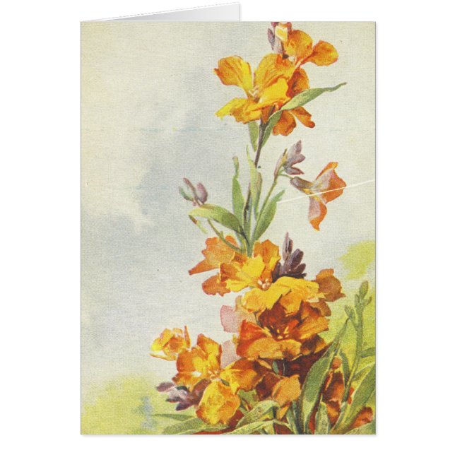 Postkarten-Wiedergabe-Karte Catherine Klein (Vorne)