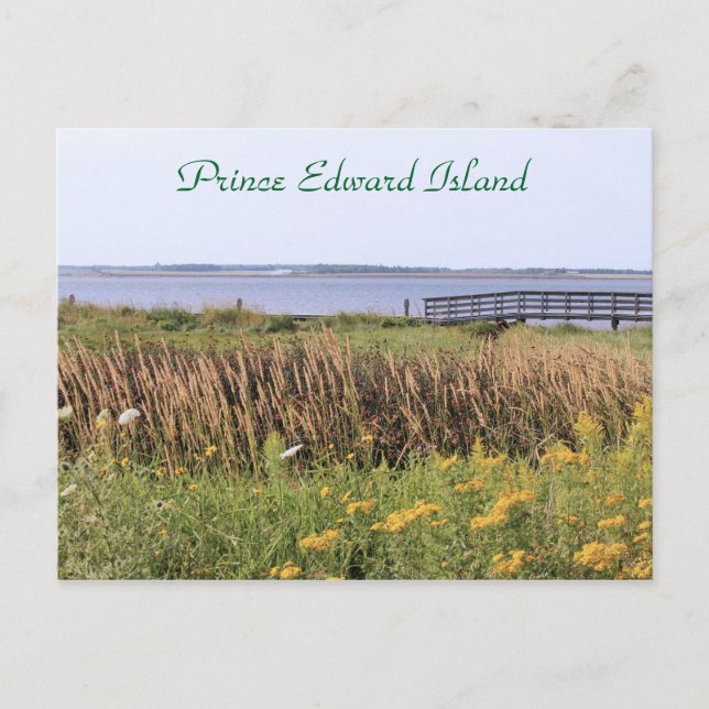 Postkartenbrücke, Wildblumen, Ozean, Prinz Edward Postkarte (Vorderseite)