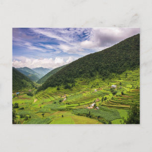Postkartenfelder in Nepal Postkarte