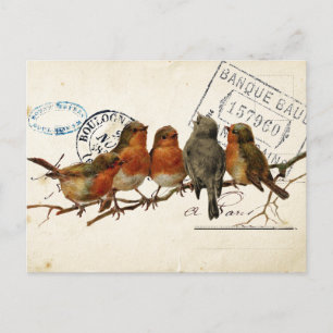 Postkartenset Vögel 3 von 4 (Europäischer Rotkehlc Postkarte