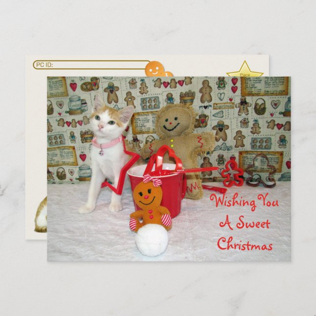 Postkreuzung - Annie Cat Gingerbrei Weihnachten Postkarte (Vorne/Hinten)