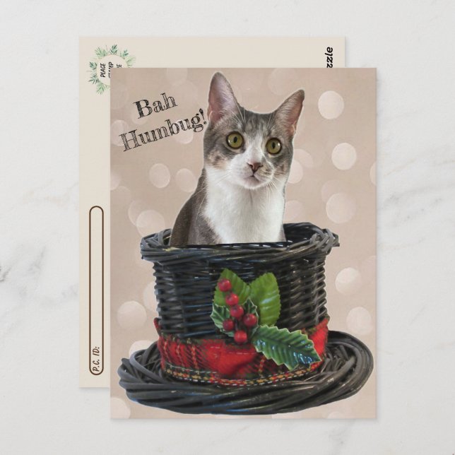 Postkreuzung - Bah Humbag Tito Die Katze Postkarte (Vorne/Hinten)