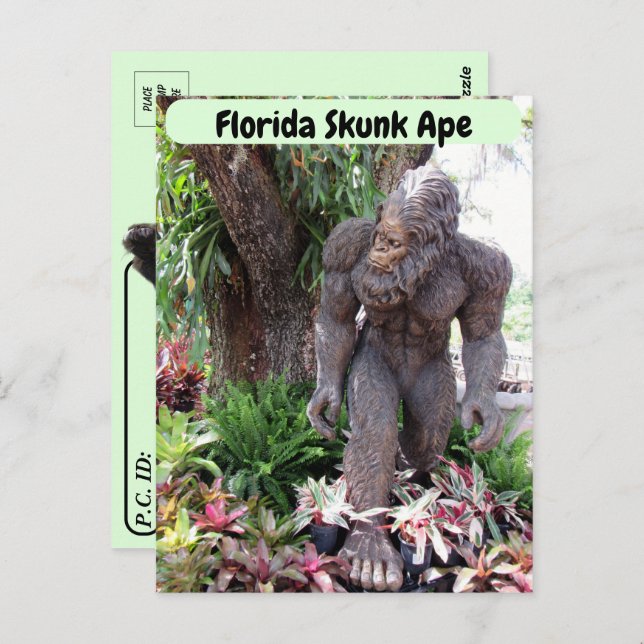 Postkreuzung - Bild von Florida Skunk Ape Postkarte (Vorne/Hinten)