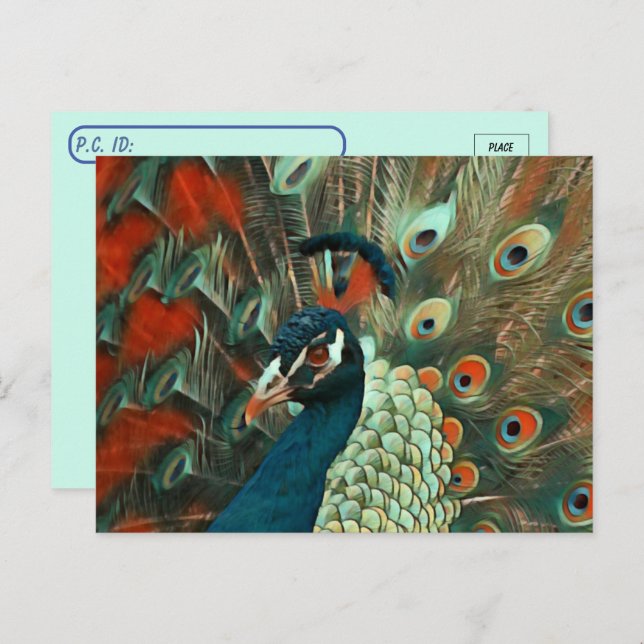 Postkreuzung farbiger Pfau Postkarte (Vorne/Hinten)